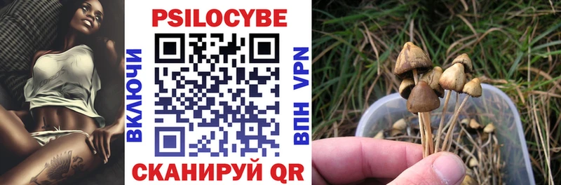 купить наркоту  Гдов  Псилоцибиновые грибы Psilocybe 