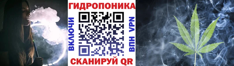 Каннабис MAZAR  Гдов 
